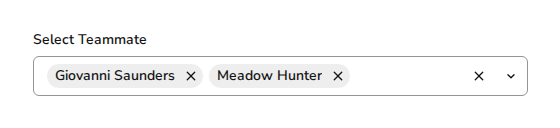 combobox-defaultselecteditems