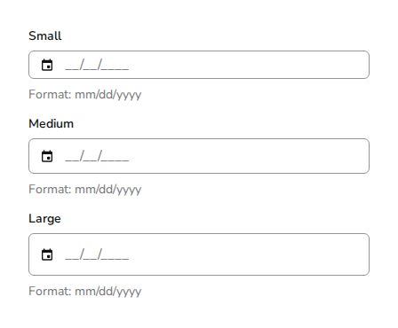 datefieldsingle-size