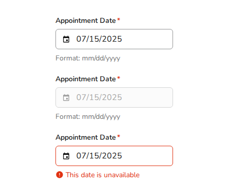 datefieldsingle-visual-states