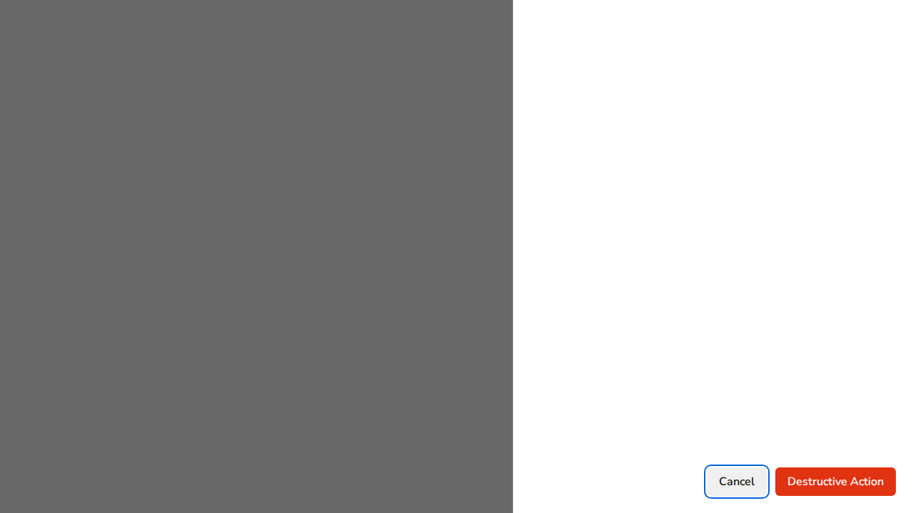 drawer-footer-button-danger-full-page